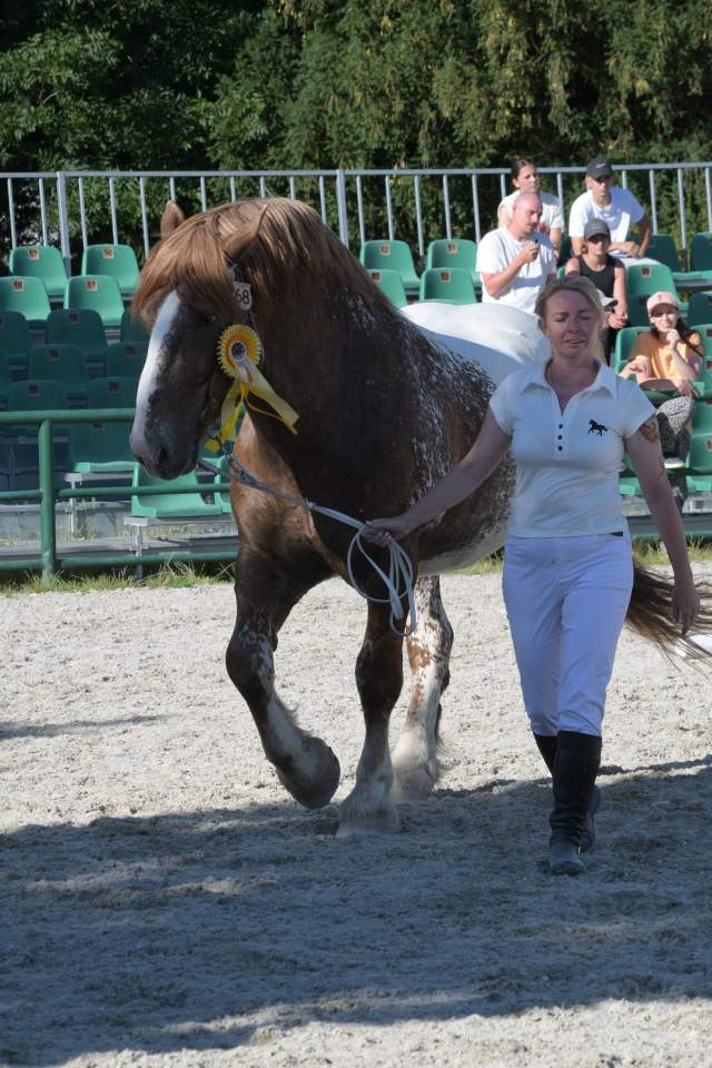 DSC_7708